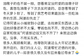 德清德清的要账公司在催收过程中的策略和技巧有哪些？